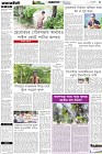 Page-3- (14-05-2025)