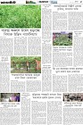 Page-5- (02-06-2025)