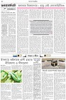 Page-2- (29-10-2025)