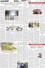 Page-5- (18-11-2025)