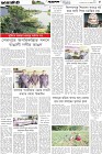Page-5- (02-12-2025)