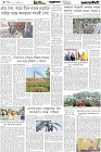 Page-4- (06-12-2025)
