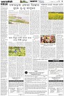 Page-3- (29-01-2026)