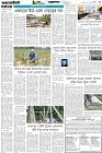 Page-3-(17-04-2026)