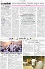 Page-2-(24-05-2026)