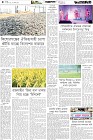 Page-4-(06-06-2026)