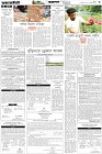 Page-3-(15-07-2026)