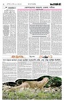 Page 2 (20-08-2026)